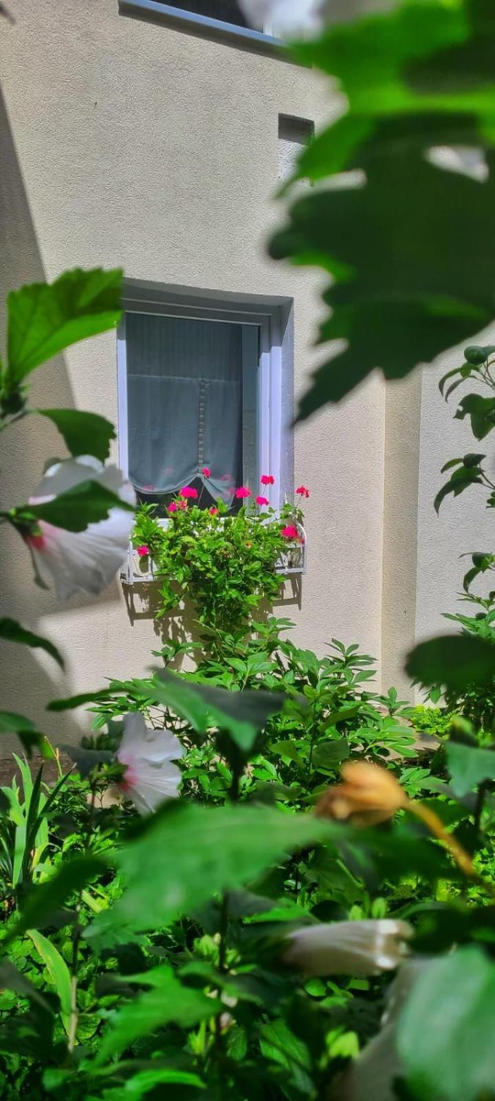 Anna'S Guesthouse Клуж-Напока Екстериор снимка